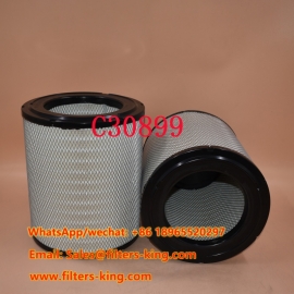 C30899 Luchtfilter