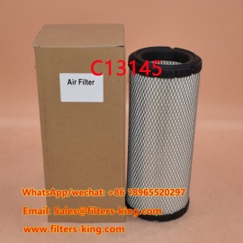 C13145 Luchtfilter