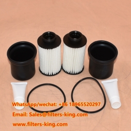 R490 vrachtwagen ureumfilterkit