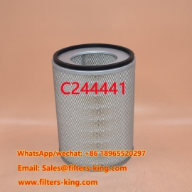 Luchtfilter C24444/1