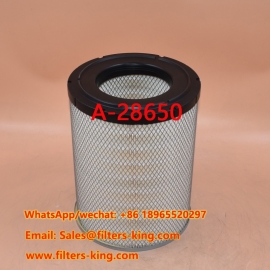 A-28650 Luchtfilter