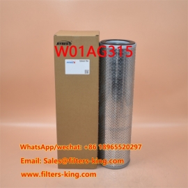 Hydraulisch filter W01AG315