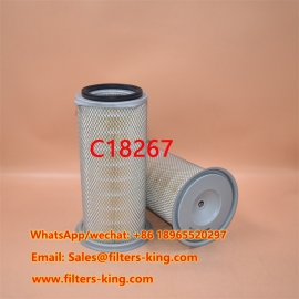 C18267 Luchtfilter