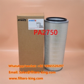 PA2750 Luchtfilter