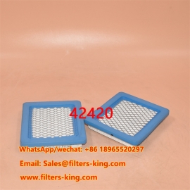 Luchtfilter 42420
