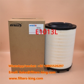 E1013L Luchtfilter