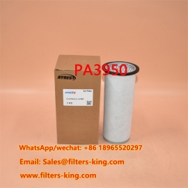 PA3950 Luchtfilter