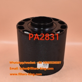PA2831 Luchtfilter