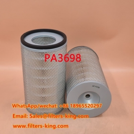 PA3698 Luchtfilter