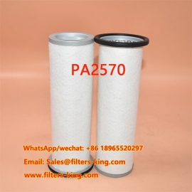 PA2570 Luchtfilter