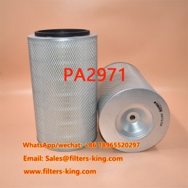 PA2971 Luchtfilter