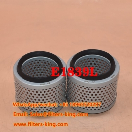 Luchtfilter E1839L