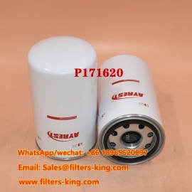 P171620 Hydraulisch filter