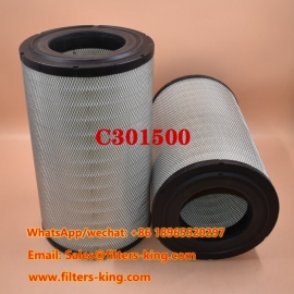 C301500 luchtfilter