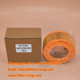 Luchtfilter AF25530