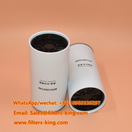 RP012031A0 Brandstofvoorfilter