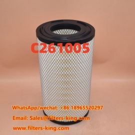 Luchtfilter C261005