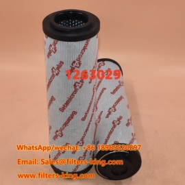 Hydraulisch filter 1263029
